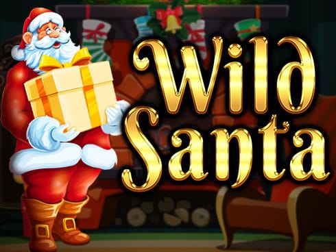 Wild Santa screenshot